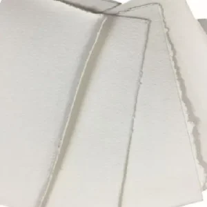 Bleached Softwood Kraft Pulp (BSKP)